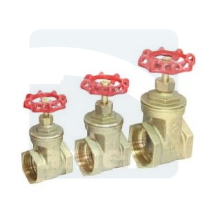 IPS Gate Valve